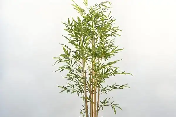 The Ultimate Guide to Buying Artificial Bamboo Plants
